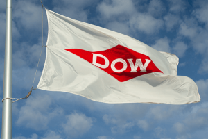 Dow Flag